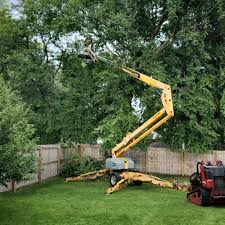 Best Tree Planting Services  in Hampton Bays, NY